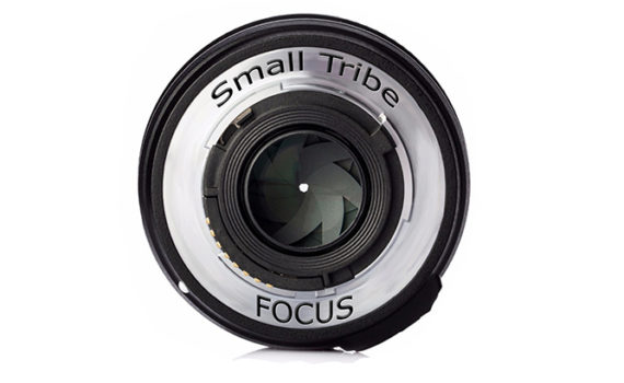 Small Tribe Focus