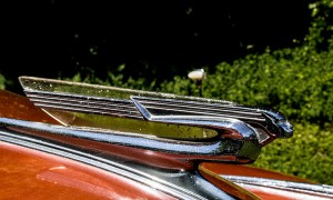 1941 Chevrolet Special Deluxe                                   