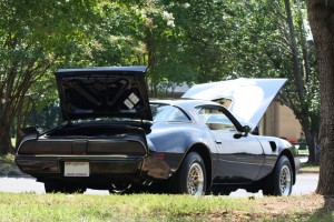 1979 Pontiac Trans Am    