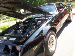 1979 Pontiac Trans Am    