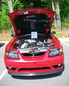 2001 Ford Mustang Cobra Convertible