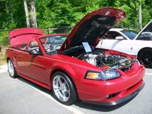 2001 Ford Mustang Cobra Convertible