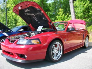 2001 Ford Mustang Cobra Convertible